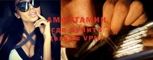 индика Богородицк
