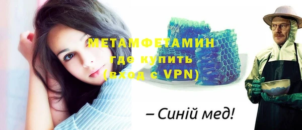 индика Богородицк