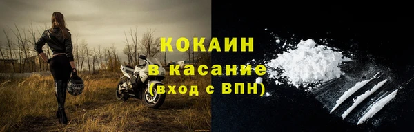 мдпв Богородск