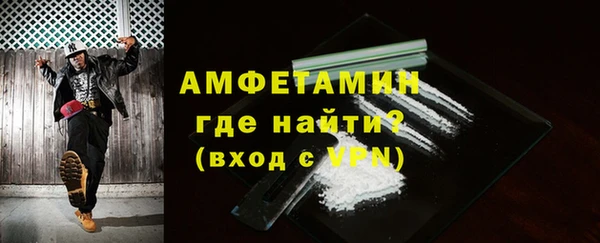 индика Богородицк