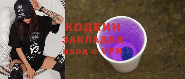 индика Богородицк