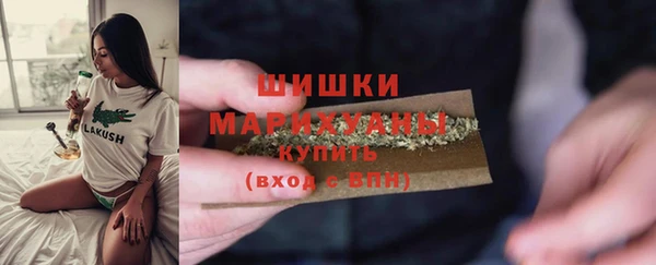 мдпв Богородск