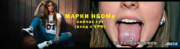 мдпв Богородск