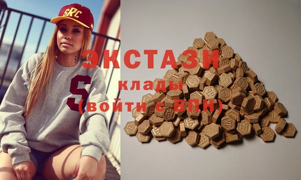 индика Богородицк