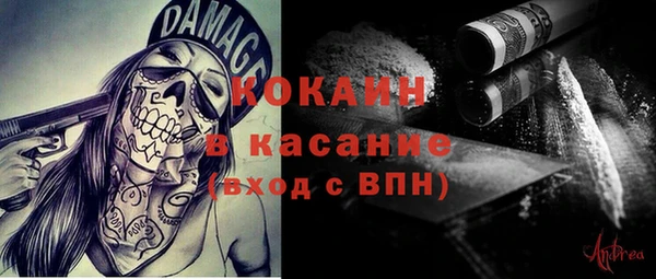 индика Богородицк