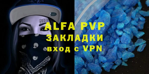 индика Богородицк