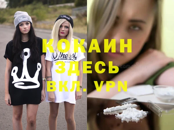 индика Богородицк