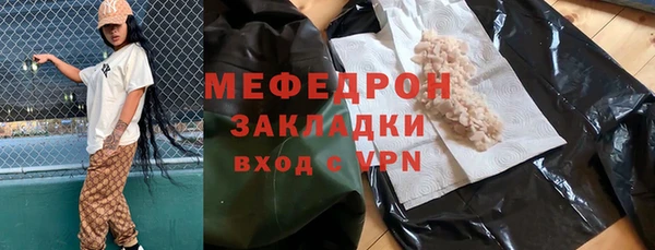 индика Богородицк