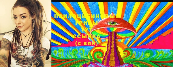 индика Богородицк