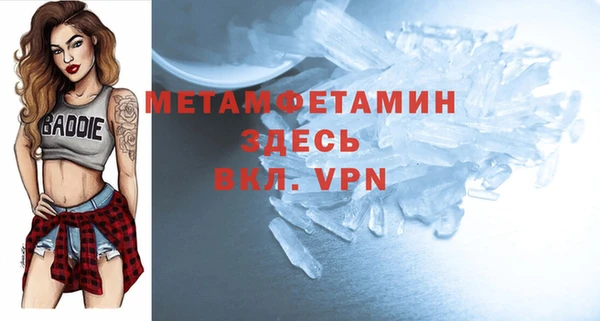индика Богородицк