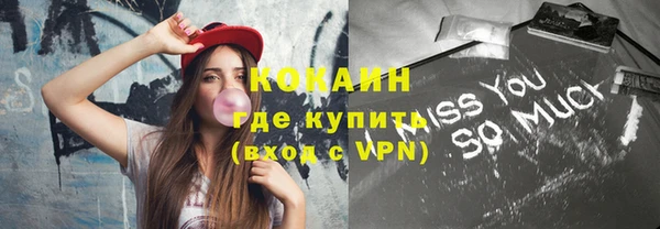 индика Богородицк